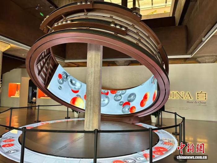 雷速宠物：科学养宠，让爱宠生活更美好 - leisu2