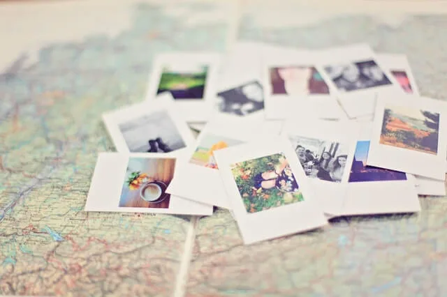 科学喂养：为您的爱宠打造健康饮食 - leisu2